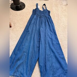 Blue Denim Jumpsuit - American Eagle BNWT